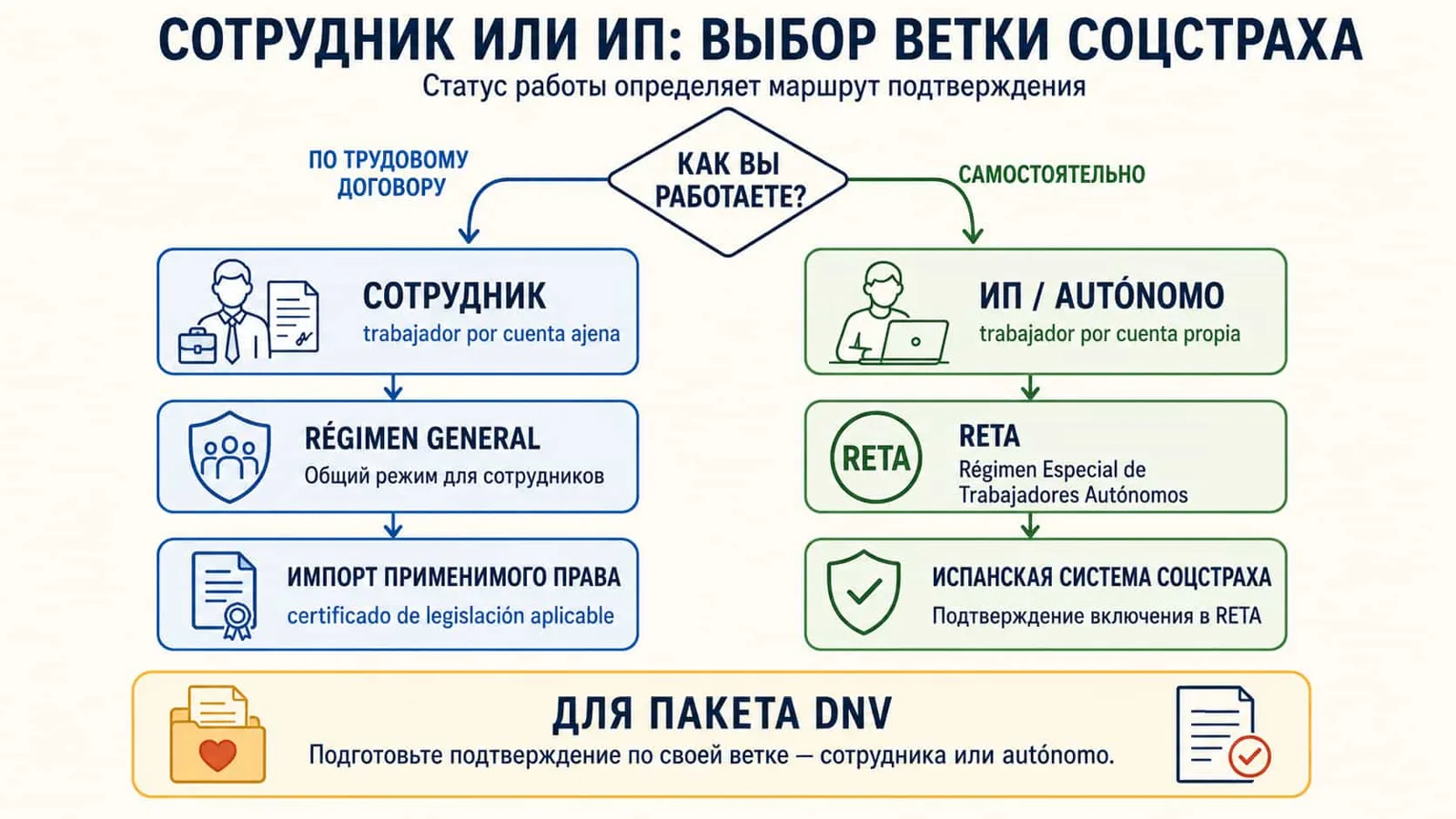 Схема-развилка «сотрудник или ИП» с двумя ветками — Régimen General через импорт права и RETA / Alt: выбор между сотрудником и ИП для сертификата социального страхования на визе цифрового кочевника в Испании