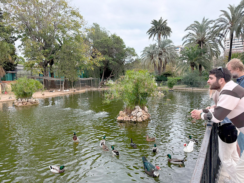 Парк Jardines del Real / Viveros, квартал La Sa&iuml;dia, Валенсия